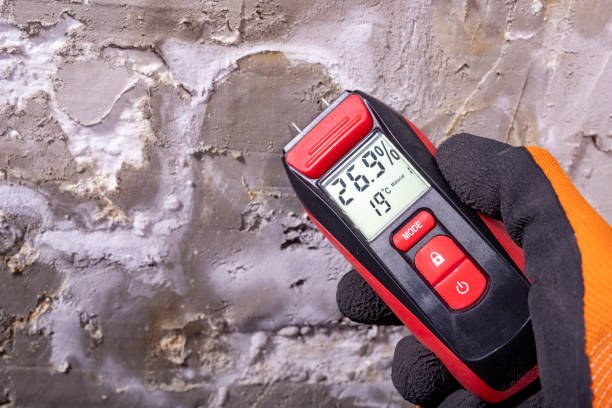 Best Mold Testing  in Springfield, GA