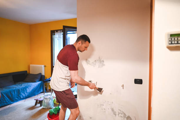 Best Commercial Mold Removal  in Springfield, GA